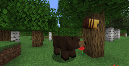  Grizzly Bear  Minecraft 1.18