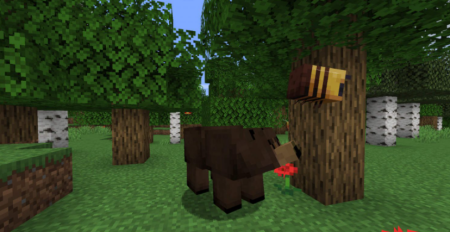  Grizzly Bear  Minecraft 1.19