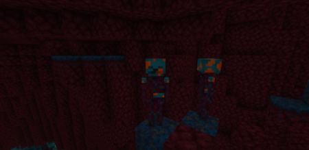  Nether Skeletons  Minecraft 1.18.1