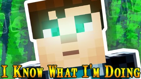 Скачать I Know What I’m Doing для Minecraft 1.18.2