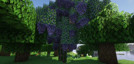  Wilder World  Minecraft 1.18.2