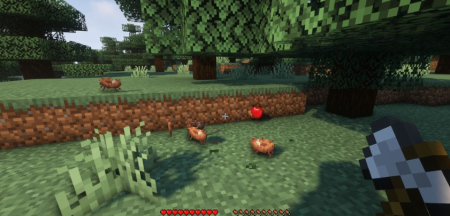  Birds Nests  Minecraft 1.18