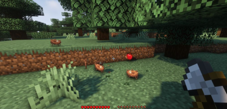 Скачать Birds Nests для Minecraft 1.19