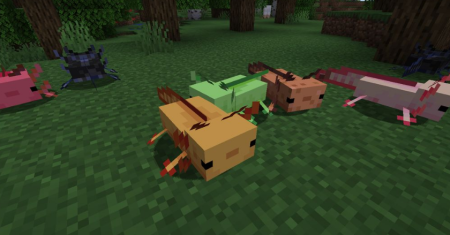  More Axololts  Minecraft 1.19.1