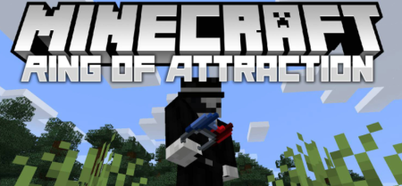  Ring of Attraction  Minecraft 1.18.2