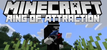 Скачать Ring of Attraction для Minecraft 1.19.1