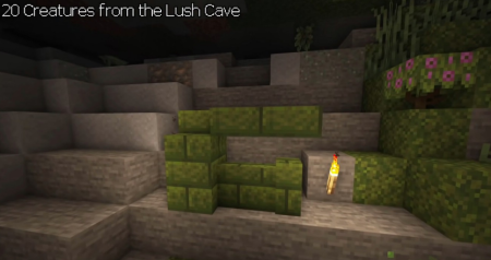  Creatures From The Lush Caves  Minecraft 1.18.1