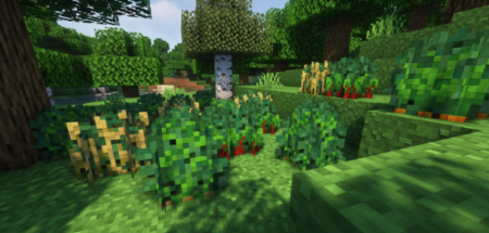  Wild Bushes  Minecraft 1.18.2