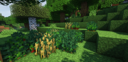  Wild Bushes  Minecraft 1.18.2