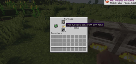  FuelInfo  Minecraft 1.18.2