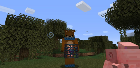  Carrier Mod  Minecraft 1.18.2