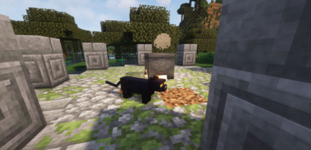  YUNGs Better Witch Huts  Minecraft 1.19