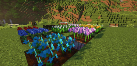  Finally Farmable Dyes  Minecraft 1.18.2