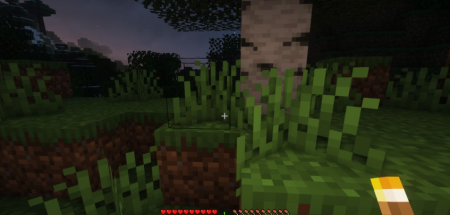  LambDynamicLights  Minecraft 1.19.1