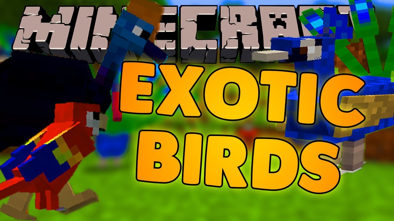 Minecraft birds. Exotic Birds майнкрафт. Мод Bird. Мод exotic Birds. Exotic Birds майнкрафт мод.
