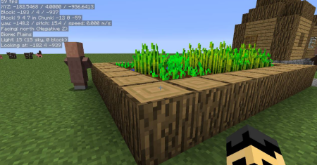  MiniHUD  Minecraft 1.18