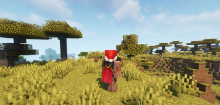  Wavey Capes  Minecraft 1.19.1