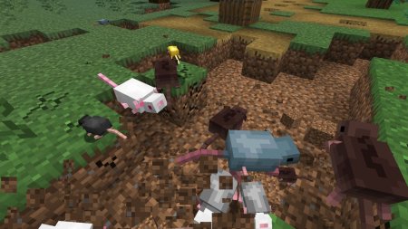 Скачать Rats Mischief для Minecraft 1.19.1