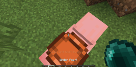 Скачать Mounted Pearl для Minecraft 1.19.1