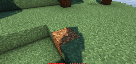  Grass Seeds  Minecraft 1.19.2