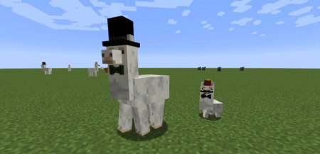  Better Than Llamas  Minecraft 1.18.2