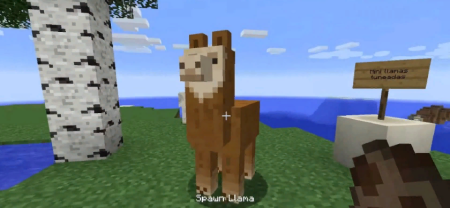  Better Than Llamas  Minecraft 1.19.2