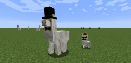 Скачать Better Than Llamas для Minecraft 1.19.2