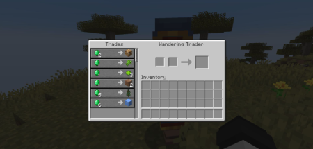  Wandering Collector  Minecraft 1.18.2