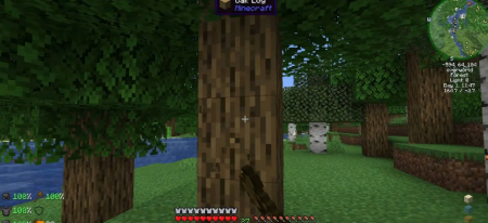 Скачать Tree Chopper для Minecraft 1.18