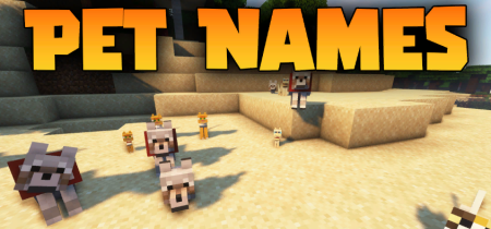Скачать Pet Names для Minecraft 1.18.2