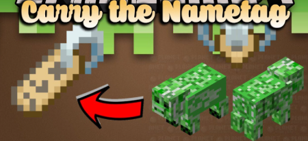  Carry the Nametag  Minecraft 1.19.2