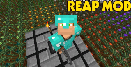  Reap Mod  Minecraft 1.19.3