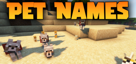 Скачать Pet Names для Minecraft 1.19.1