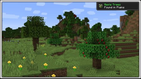  Premium Wood  Minecraft 1.19.2