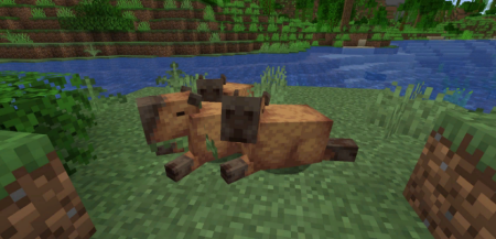  Capybara Mod  Minecraft 1.19.2