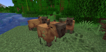 Скачать Capybara Mod для Minecraft 1.19.2