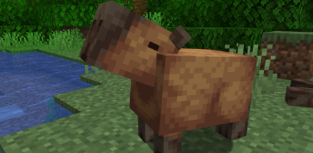 Скачать Capybara Mod для Minecraft 1.19.3