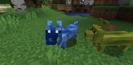  The Corgis  Minecraft 1.19.3