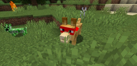  The Corgis  Minecraft 1.19.3