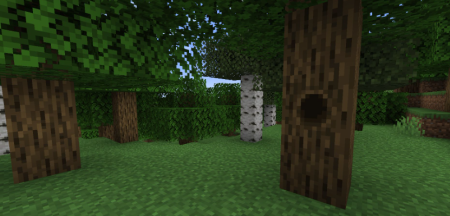 Скачать Tree Hollows для Minecraft 1.19.2