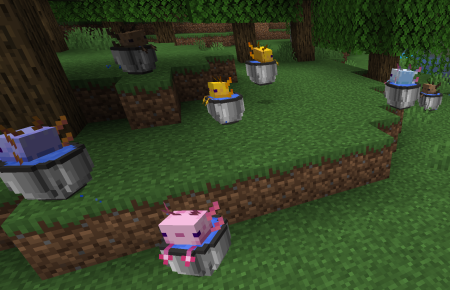  YDMs Weird Mobs  Minecraft 1.19.2