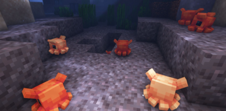  Critters and Companions  Minecraft 1.19.2