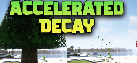 Скачать Accelerated Decay для Minecraft 1.19.2