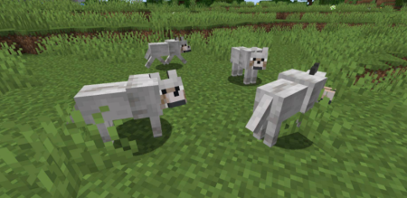  Let Sleeping Dogs Lie  Minecraft 1.19.3