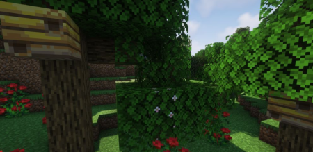 Скачать Blossom для Minecraft 1.19.3