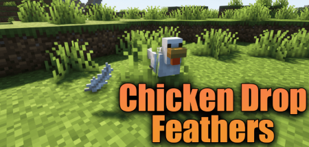  Chicken Drop Feathers  Minecraft 1.18.1