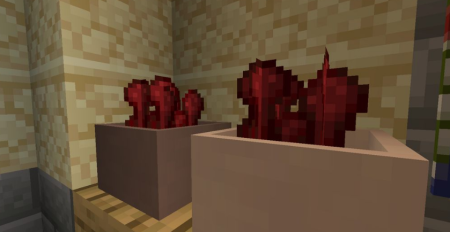 Скачать Botany Pots для Minecraft 1.19.4