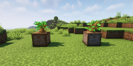  Planting Dirt for Saplings  Minecraft 1.19.3