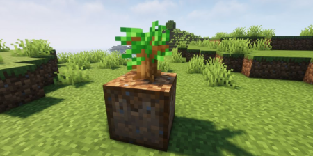  Planting Dirt for Saplings  Minecraft 1.19.3