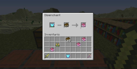  Disenchanter  Minecraft 1.19.4